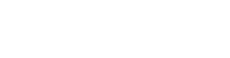 mybizwallet